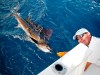 Releasing a 100lb sailfish whilst fly fishing in the Maldives