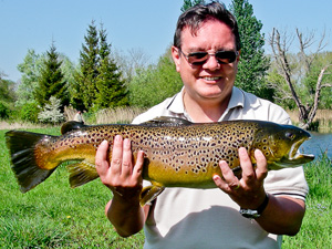 Brown Trout caught on the fly